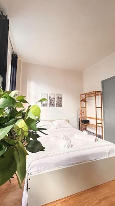 Le Cocon Apartment Montauban Exterior foto